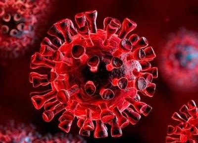 مبتلایان به کرونا نباید واکسن آنفلوآنزا تزریق کنند ، چرایی افزایش مرگ های کرونایی